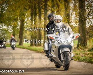 Herfstrit Moerzeke photo