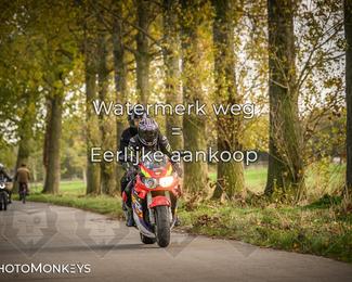 Herfstrit Moerzeke photo