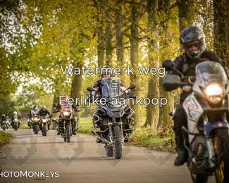 Herfstrit Moerzeke photo