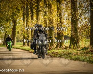 Herfstrit Moerzeke photo