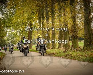 Herfstrit Moerzeke photo