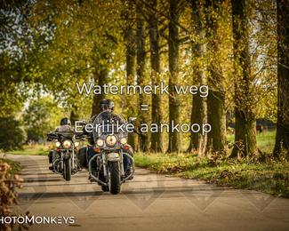 Herfstrit Moerzeke photo