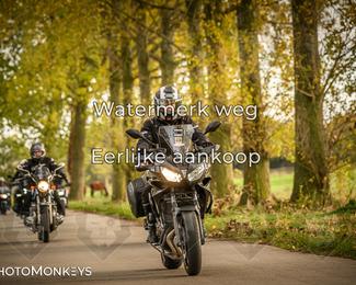 Herfstrit Moerzeke photo