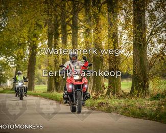 Herfstrit Moerzeke photo