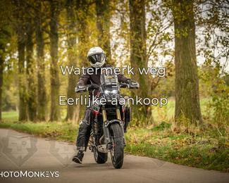 Herfstrit Moerzeke photo