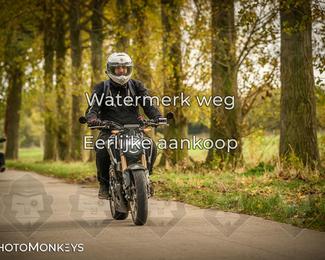 Herfstrit Moerzeke photo