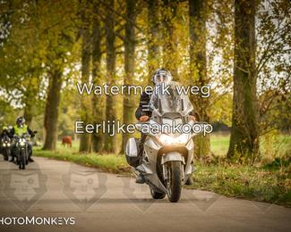 Herfstrit Moerzeke photo