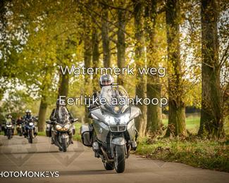 Herfstrit Moerzeke photo