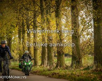 Herfstrit Moerzeke photo