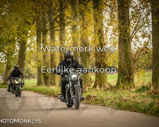 Herfstrit Moerzeke photo