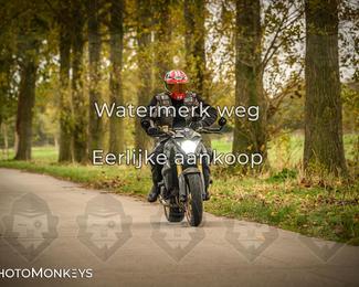 Herfstrit Moerzeke photo