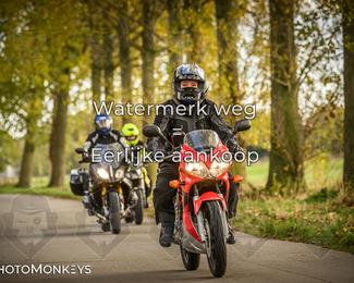 Herfstrit Moerzeke photo