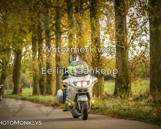 Herfstrit Moerzeke photo