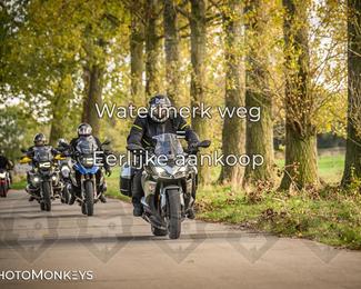 Herfstrit Moerzeke photo