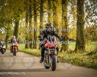 Herfstrit Moerzeke photo