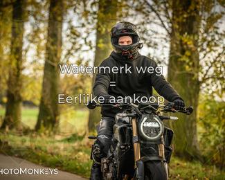 Herfstrit Moerzeke photo