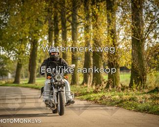 Herfstrit Moerzeke photo