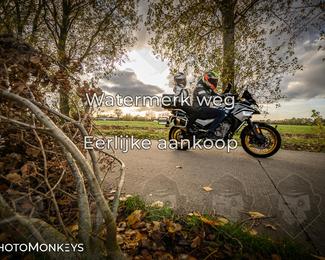 Herfstrit Moerzeke photo