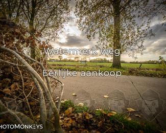 Herfstrit Moerzeke photo