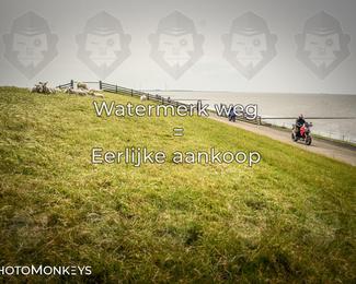 Motor Elfstedentocht – 9 juni 2025 photo