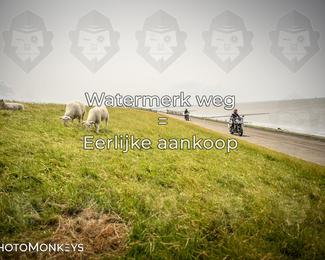 Motor Elfstedentocht – 9 juni 2025 photo