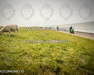 Motor Elfstedentocht – 9 juni 2025 photo