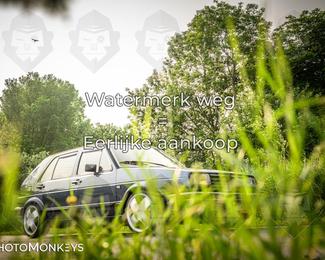 Motor Elfstedentocht – 9 juni 2025 photo