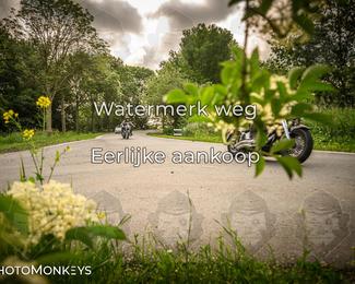 Motor Elfstedentocht – 9 juni 2025 photo