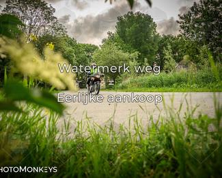 Motor Elfstedentocht – 9 juni 2025 photo