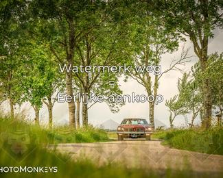 Motor Elfstedentocht – 9 juni 2025 photo