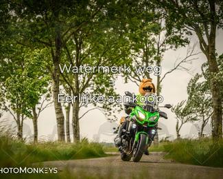 Motor Elfstedentocht – 9 juni 2025 photo