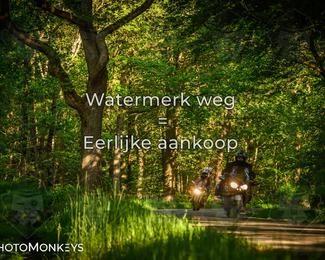 Motor Elfstedentocht 2026 photo