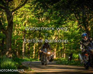 Motor Elfstedentocht 2026 photo