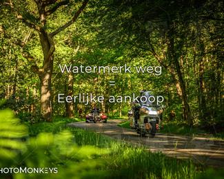 Motor Elfstedentocht 2026 photo