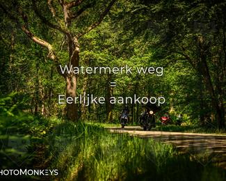 Motor Elfstedentocht 2026 photo