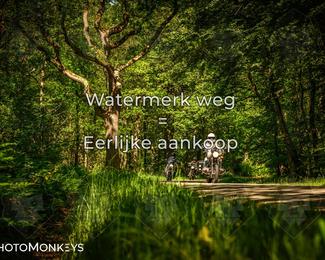 Motor Elfstedentocht 2026 photo