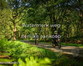 Motor Elfstedentocht 2026 photo