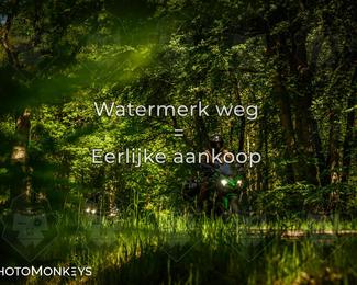Motor Elfstedentocht 2026 photo