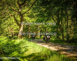 Motor Elfstedentocht 2026 photo