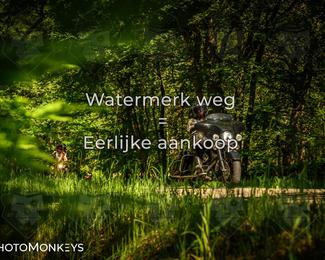Motor Elfstedentocht 2026 photo