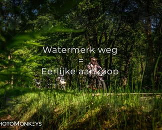 Motor Elfstedentocht 2026 photo