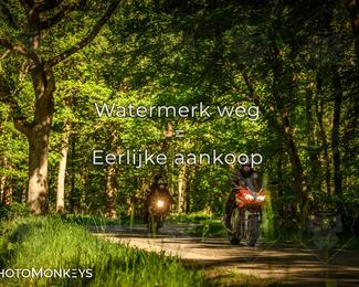 Motor Elfstedentocht 2026 photo