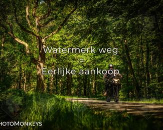 Motor Elfstedentocht 2026 photo