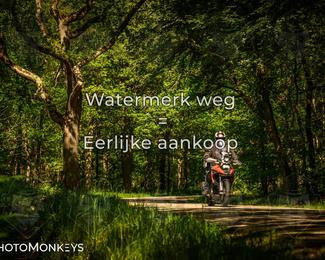 Motor Elfstedentocht 2026 photo