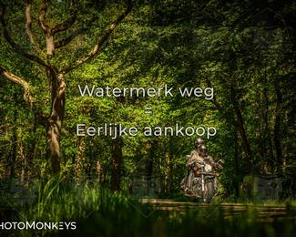 Motor Elfstedentocht 2026 photo