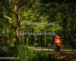 Motor Elfstedentocht 2026 photo