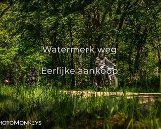 Motor Elfstedentocht 2026 photo