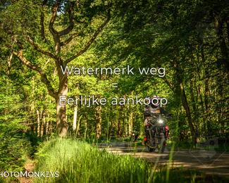 Motor Elfstedentocht 2026 photo