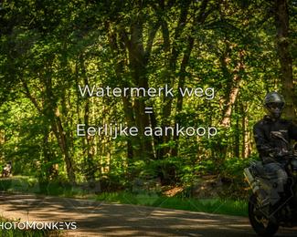 Motor Elfstedentocht 2026 photo