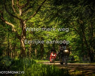 Motor Elfstedentocht 2026 photo
